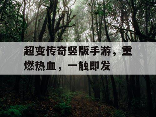 超变传奇竖版手游，重燃热血，一触即发