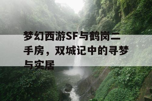 梦幻西游SF与鹤岗二手房，双城记中的寻梦与实居