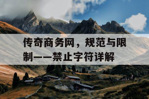 传奇商务网，规范与限制——禁止字符详解