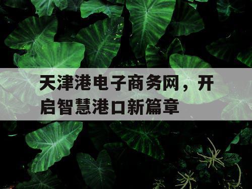 天津港电子商务网，开启智慧港口新篇章
