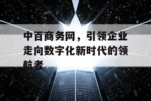 中百商务网，引领企业走向数字化新时代的领航者