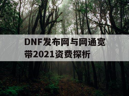 DNF发布网与网通宽带2021资费探析