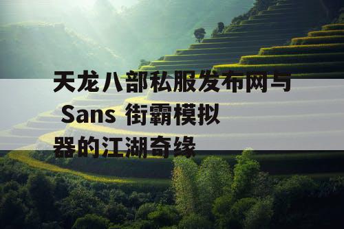 天龙八部私服发布网与 Sans 街霸模拟器的江湖奇缘