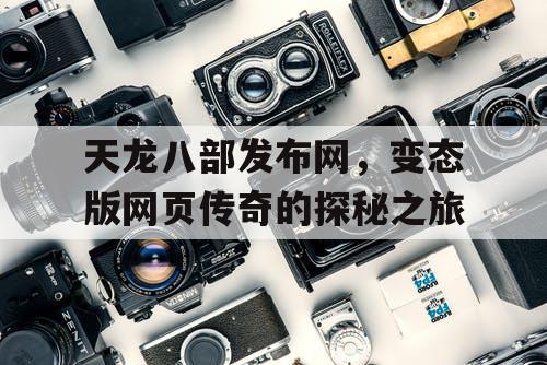 天龙八部发布网，变态版网页传奇的探秘之旅