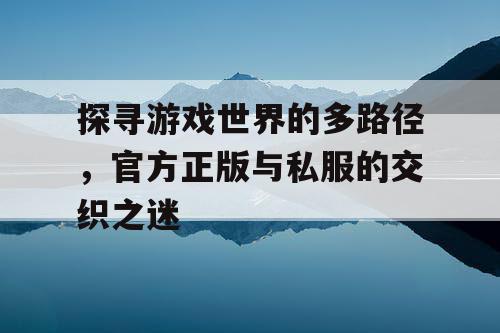 探寻游戏世界的多路径，官方正版与私服的交织之迷