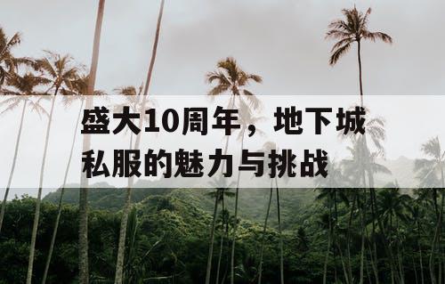 盛大10周年，地下城私服的魅力与挑战
