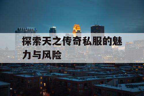 探索天之传奇私服的魅力与风险