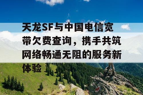 天龙SF与中国电信宽带欠费查询，携手共筑网络畅通无阻的服务新体验