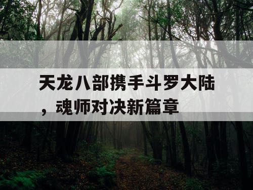 天龙八部携手斗罗大陆，魂师对决新篇章
