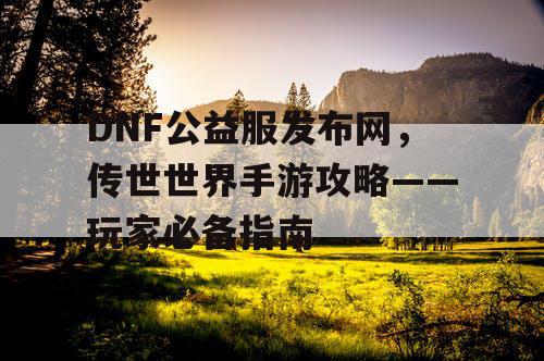 DNF公益服发布网，传世世界手游攻略——玩家必备指南