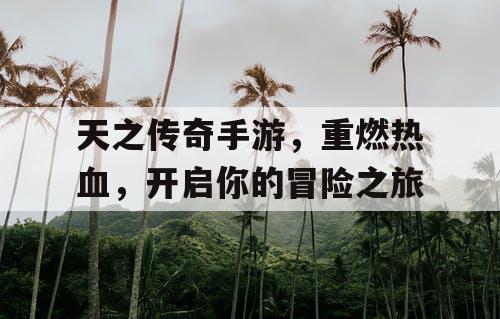 天之传奇手游，重燃热血，开启你的冒险之旅