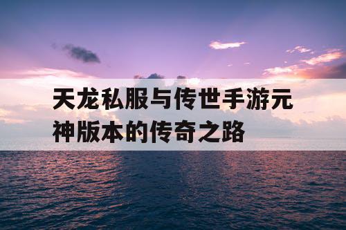 天龙私服与传世手游元神版本的传奇之路