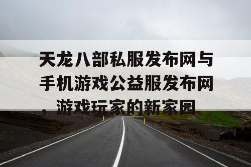 天龙八部私服发布网与手机游戏公益服发布网，游戏玩家的新家园