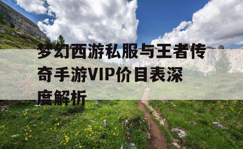 梦幻西游私服与王者传奇手游VIP价目表深度解析