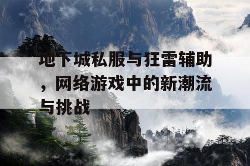 地下城私服与狂雷辅助，网络游戏中的新潮流与挑战