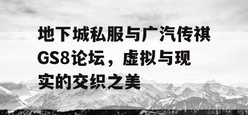 地下城私服与广汽传祺GS8论坛，虚拟与现实的交织之美