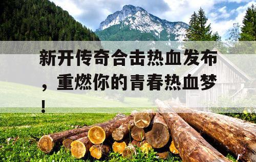 新开传奇合击热血发布，重燃你的青春热血梦！