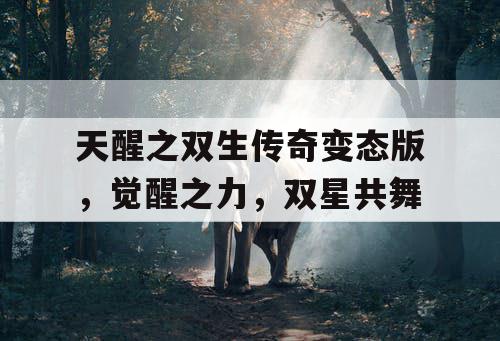 天醒之双生传奇变态版，觉醒之力，双星共舞