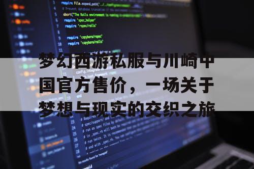 梦幻西游私服与川崎中国官方售价，一场关于梦想与现实的交织之旅