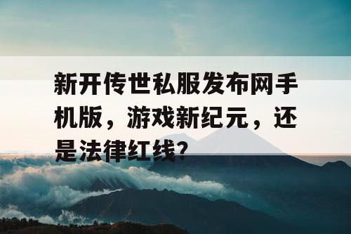 新开传世私服发布网手机版，游戏新纪元，还是法律红线？