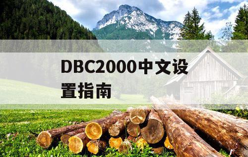 DBC2000中文设置指南