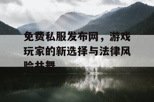 免费私服发布网，游戏玩家的新选择与法律风险共舞