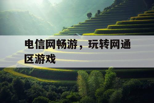 电信网畅游，玩转网通区游戏