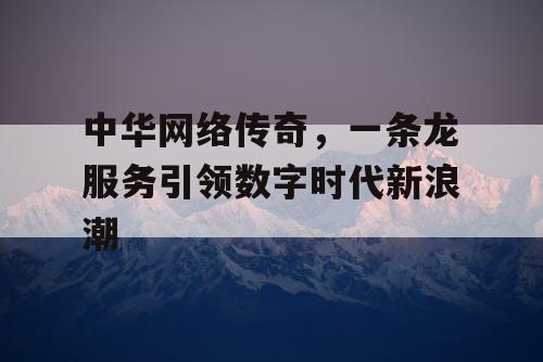 中华网络传奇，一条龙服务引领数字时代新浪潮