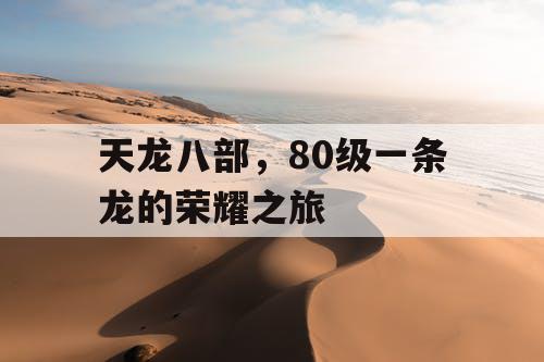 天龙八部，80级一条龙的荣耀之旅