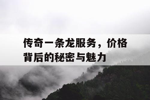 传奇一条龙服务，价格背后的秘密与魅力