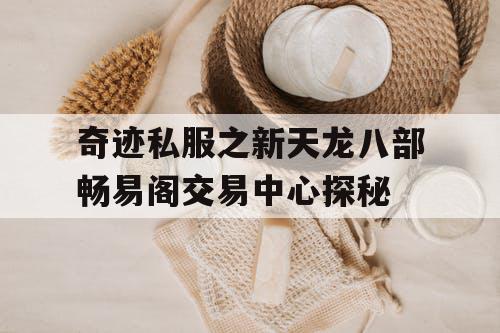 奇迹私服之新天龙八部畅易阁交易中心探秘
