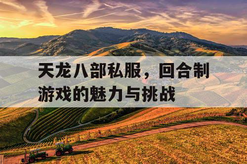 天龙八部私服，回合制游戏的魅力与挑战