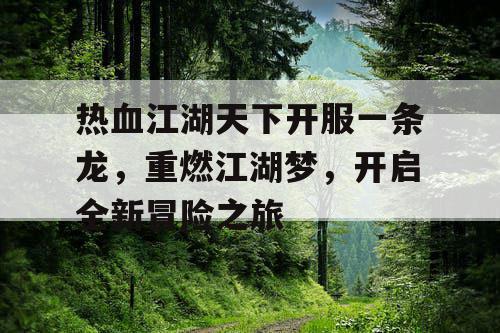 热血江湖天下开服一条龙，重燃江湖梦，开启全新冒险之旅