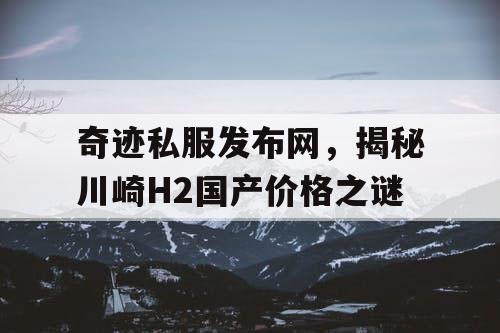 奇迹私服发布网，揭秘川崎H2国产价格之谜