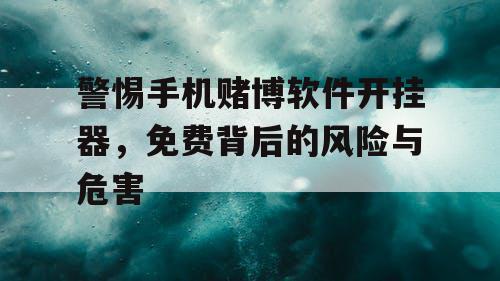 警惕手机赌博软件开挂器,免费背后的风险与危害 警惕手机赌博软件开挂器,免费背后的风险与危害