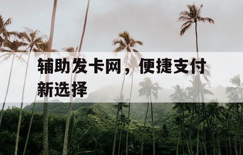 辅助发卡网,便捷支付新选择 辅助发卡网,便捷支付新选择