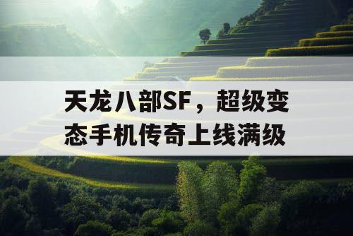 天龙八部SF，超级变态手机传奇上线满级