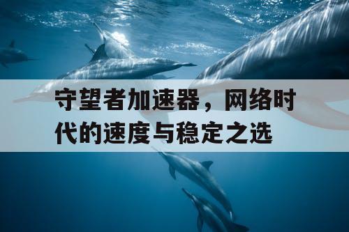 守望者加速器，网络时代的速度与稳定之选