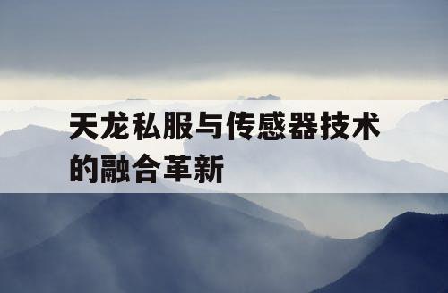 天龙私服与传感器技术的融合革新