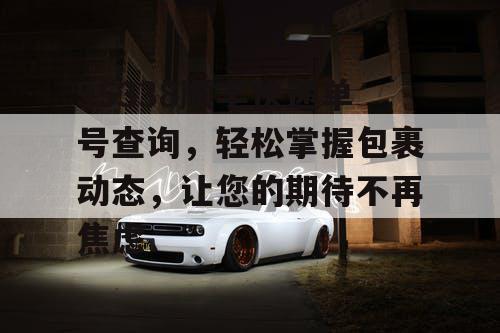 95338顺丰快递单号查询，轻松掌握包裹动态，让您的期待不再焦虑