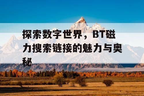 探索数字世界，BT磁力搜索链接的魅力与奥秘