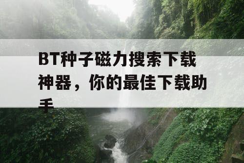 BT种子磁力搜索下载神器，你的最佳下载助手