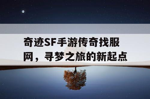 奇迹SF手游传奇找服网,寻梦之旅的新起点 奇迹SF手游传奇找服网,寻梦之旅的新起点