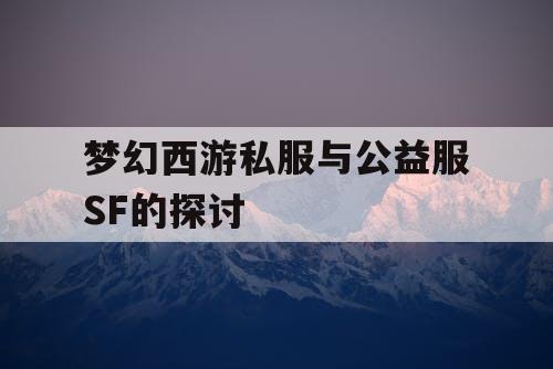 梦幻西游私服与公益服SF的探讨