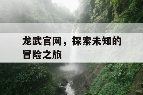 龙武官网,探索未知的冒险之旅 龙武官网,探索未知的冒险之旅