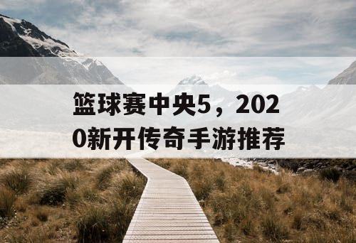 篮球赛中央5，2020新开传奇手游推荐