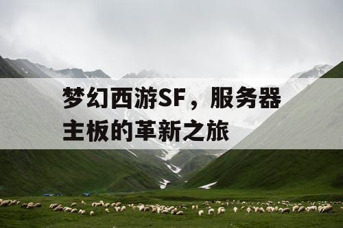 梦幻西游SF,服务器主板的革新之旅 梦幻西游SF,服务器主板的革新之旅