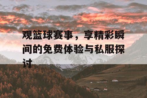 观篮球赛事，享精彩瞬间的免费体验与私服探讨