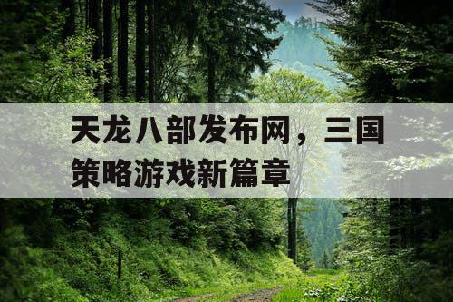 天龙八部发布网,三国策略游戏新篇章 天龙八部发布网,三国策略游戏新篇章