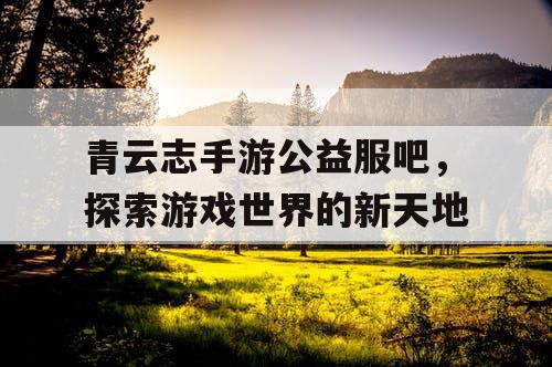 青云志手游公益服吧,探索游戏世界的新天地 青云志手游公益服吧,探索游戏世界的新天地